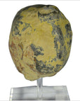 Han Dynasty Terracotta Head-7. Asian & Chinese Furniture, Art, Antiques, Vintage Home Décor for sale at FEA Home