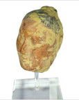 Han Dynasty Terracotta Head-9. Asian & Chinese Furniture, Art, Antiques, Vintage Home Décor for sale at FEA Home