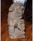 Stone lion sculpture with paw on a ball, gray tone, Ming Dynasty era, displayed on wooden floor.