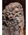 Close-up of weathered stone lion sculpture with intricate curls, gray color, Late Ming Dynasty, China, 16th-17th century.