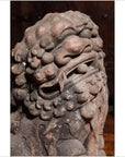 Late Ming Dynasty Antique Stone Lions from China, circa 16th-17th Century-7. Asian & Chinese Furniture, Art, Antiques, Vintage Home Décor for sale at FEA Home