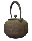 Black iron Japanese teapot with textured surface, curved handle, and small knob lid, close-up on neutral background.