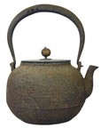 Black cast iron teapot with round body, curved spout, and arched handle, antique style, on plain background.