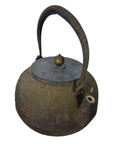 Used metal Japanese teapot with curved handle and lid, close-up on plain white background.
