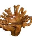 Rustic Vintage Chinese Camphor Wood Tree Root Armchair with Light Varnish-1. Asian & Chinese Furniture, Art, Antiques, Vintage Home Décor for sale at FEA Home