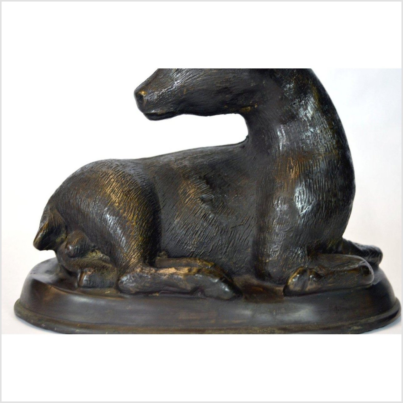 Sitting Deer Bronze Sculpture-3. Asian & Chinese Furniture, Art, Antiques, Vintage Home Décor for sale at FEA Home