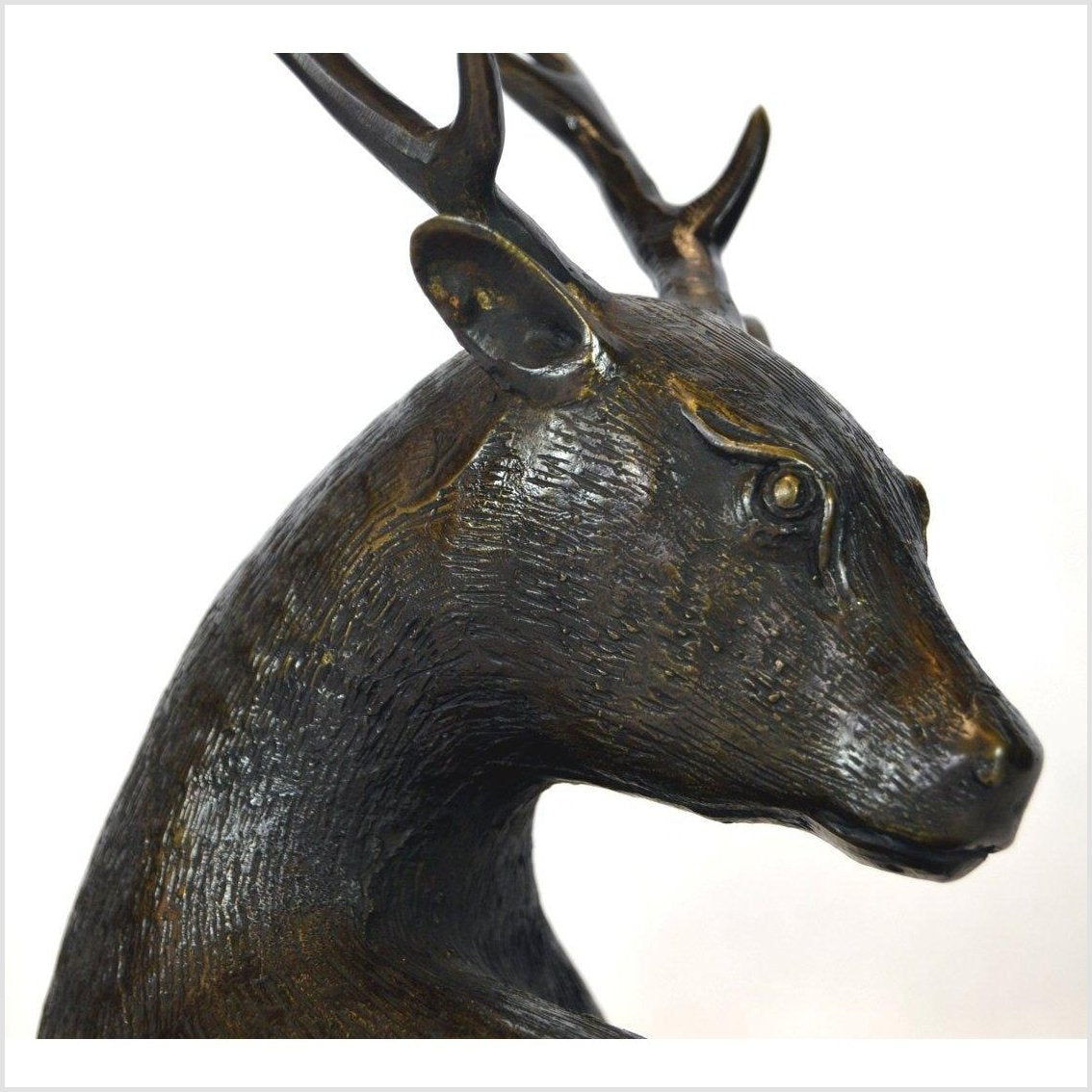 Sitting Deer Bronze Sculpture-7. Asian & Chinese Furniture, Art, Antiques, Vintage Home Décor for sale at FEA Home