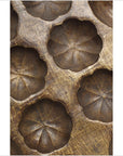 Close-up of carved wooden surface with round shell-like indentations in a small bronze shell pan pattern.