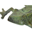 Close-up of verde gris bronze frog figurine face and front legs, white background.