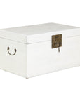 White Lacquered Trunk with Brass Hardware, Vintage Storage Chest