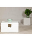 White Lacquered Trunk with Brass Hardware, Vintage Storage Chest