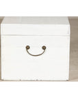 White Lacquered Trunk with Brass Hardware, Vintage Storage Chest