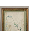 Midcentury Japanese Minimalist Botanical Print in Custom Gold Frame under Glass