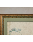 Midcentury Japanese Minimalist Botanical Print in Custom Gold Frame under Glass
