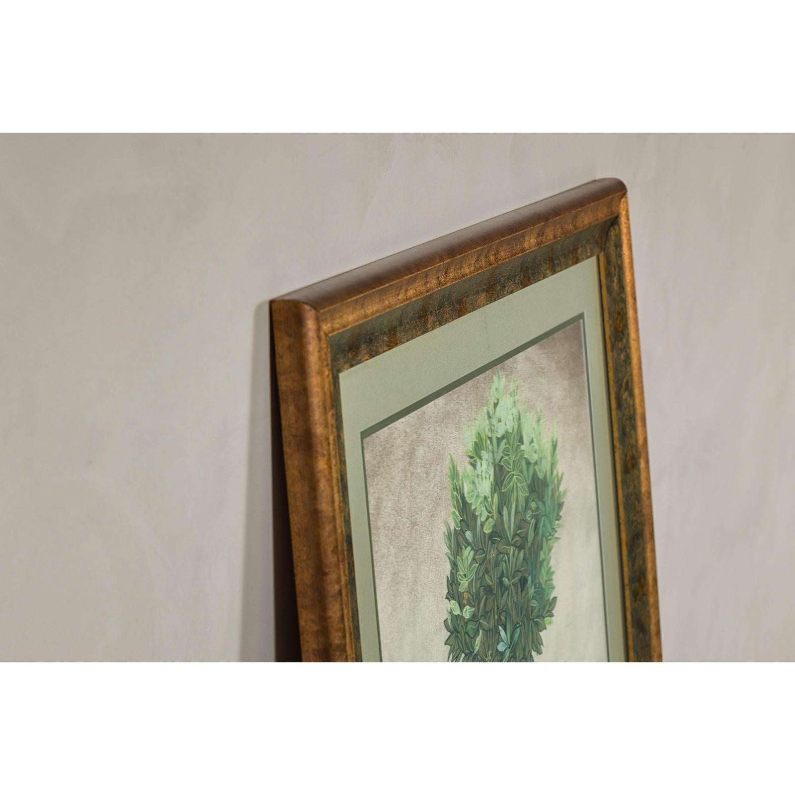 Midcentury Minimalist Botanical Print in Custom Gold Frame under Glass