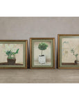 Midcentury Minimalist Botanical Print in Custom Gold Frame under Glass