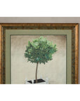 Midcentury Minimalist Botanical Print in Custom Gold Frame under Glass