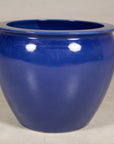 Left-side view of the cobalt blue planter showing its rounded profile