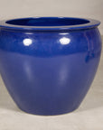 Right-side view of the cobalt blue planter with glossy glazed surface
