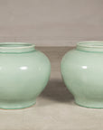 Two celadon ginger jar form vases shown together for scale