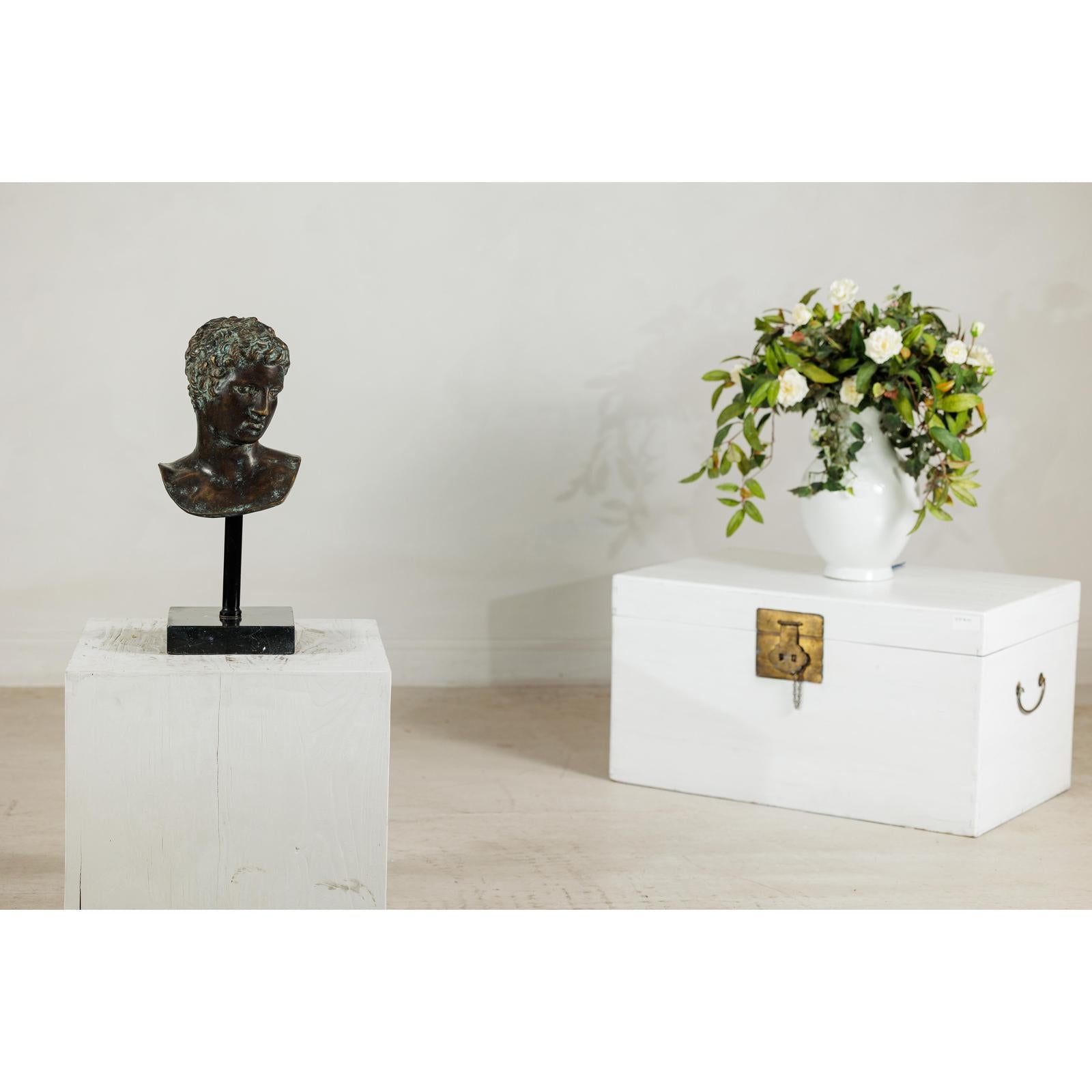 Classical Greek Style Bronze Bust of a Man on Marble Base-4. Asian &amp; Chinese Furniture, Art, Antiques, Vintage Home Décor for sale at FEA Home