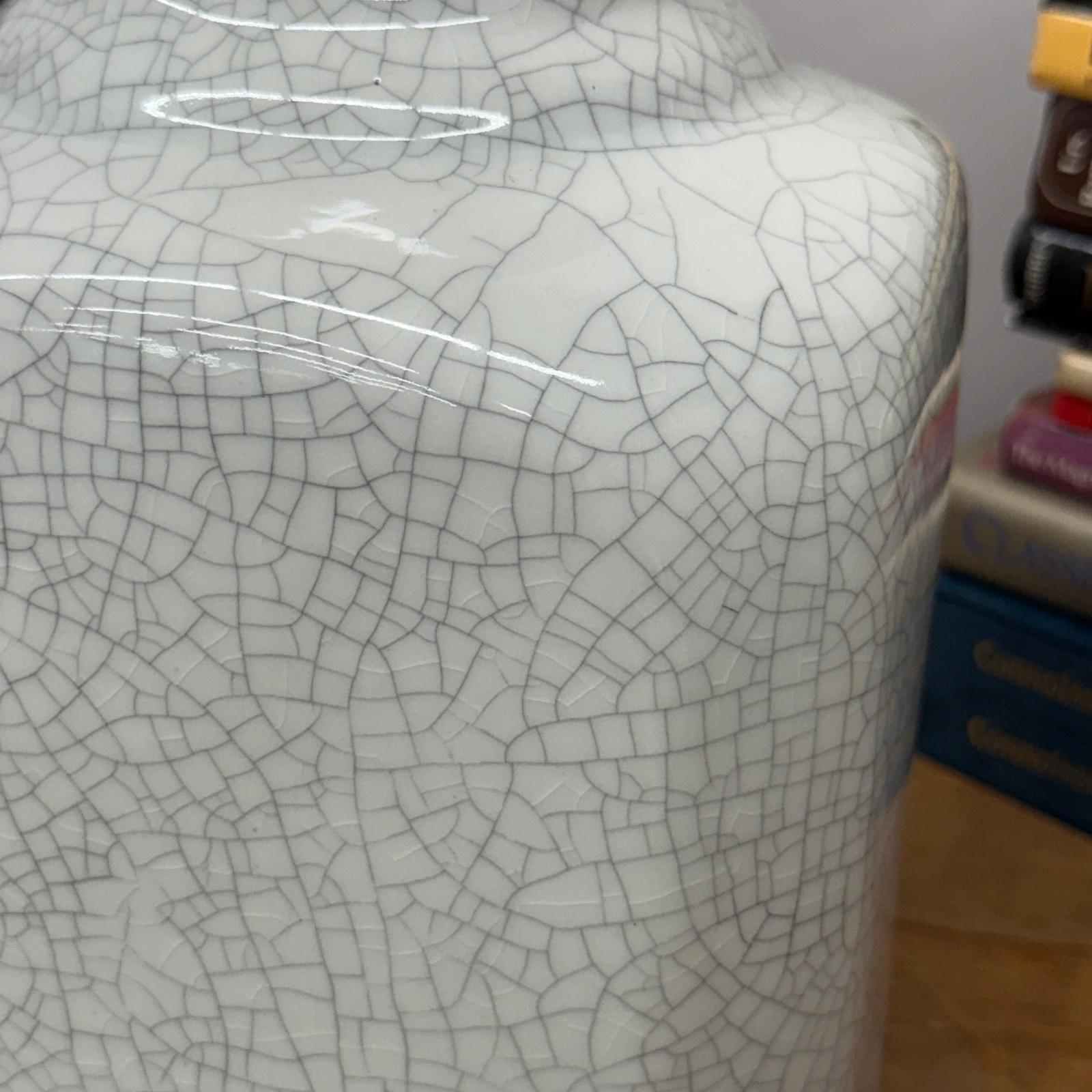 Elegant White Ceramic Vase with Intricate Crackle Finish, SKU , image 6