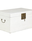 White Lacquered Trunk with Brass Hardware, Vintage Storage Chest