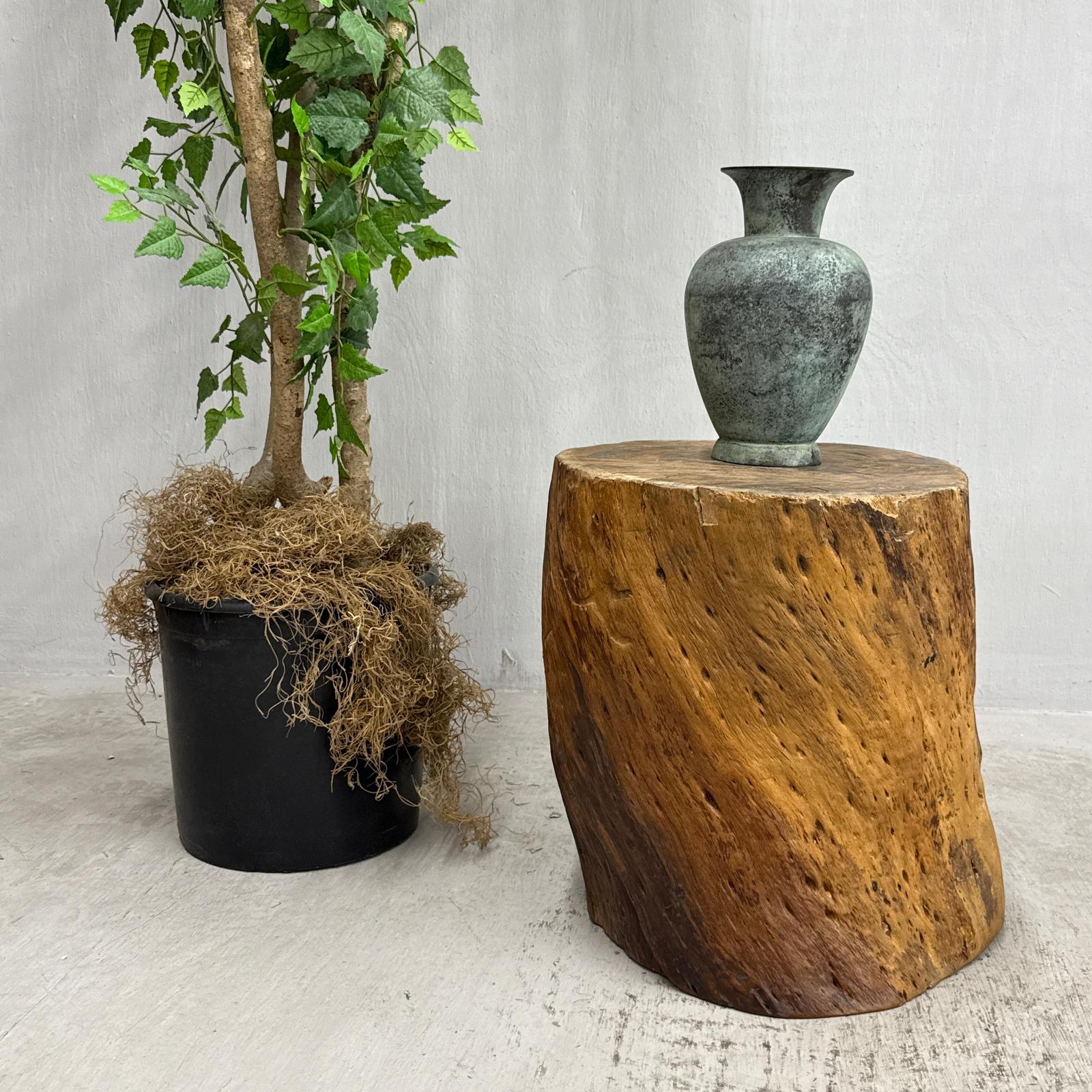 Honey Brown Twisted Free-Form Tree Trunk Side Pedestal Table - FEA Home