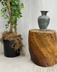 Honey Brown Twisted Free-Form Tree Trunk Side Pedestal Table - FEA Home