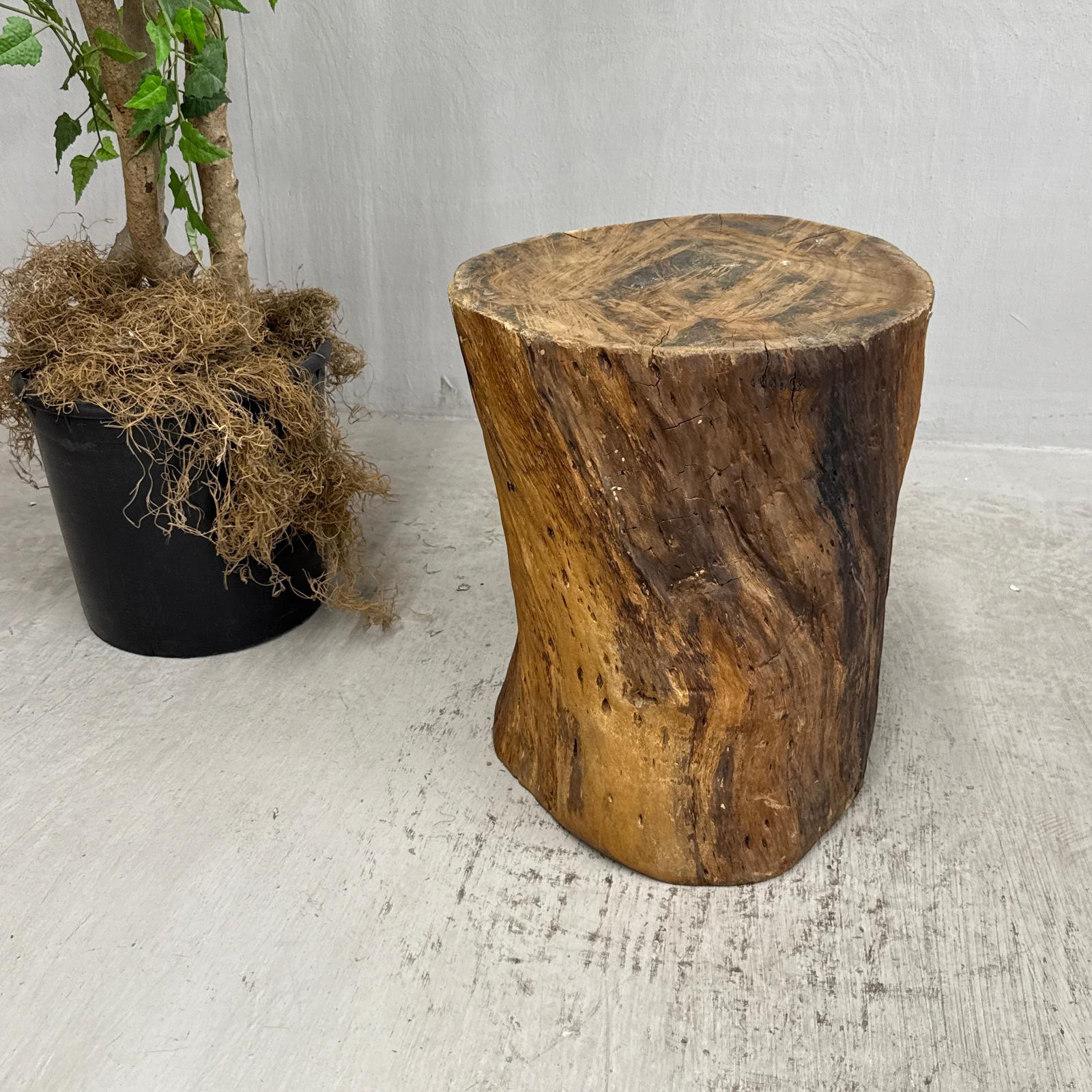 Honey Brown Twisted Free-Form Tree Trunk Side Pedestal Table - FEA Home