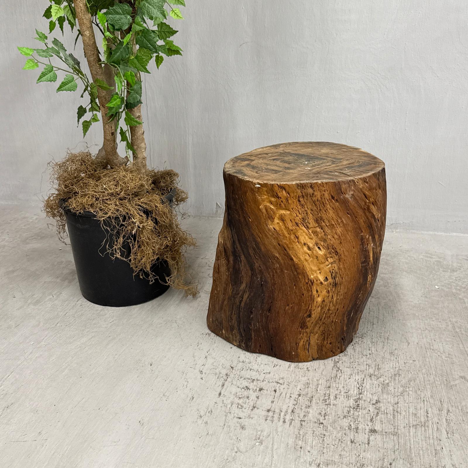 Honey Brown Twisted Free-Form Tree Trunk Side Pedestal Table - FEA Home