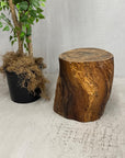 Honey Brown Twisted Free-Form Tree Trunk Side Pedestal Table - FEA Home