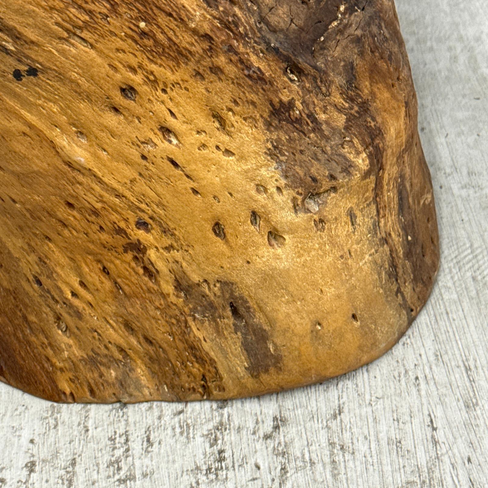 Honey Brown Twisted Free-Form Tree Trunk Side Pedestal Table - FEA Home
