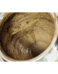Large Antique Drip-Glazed Stoneware Jar Planter - image 16
