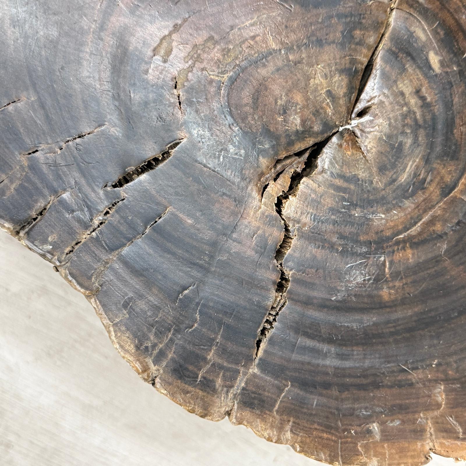 Large Dark Brown Reclaimed Tree Trunk Side Pedestal Table - FEA Home