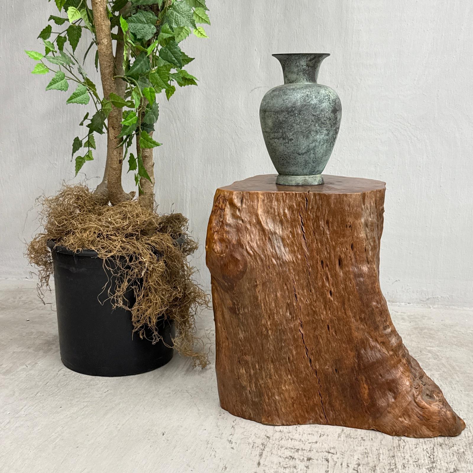 Large Free-Form Brown Rustic Tree Trunk Side Pedestal Table - FEA Home