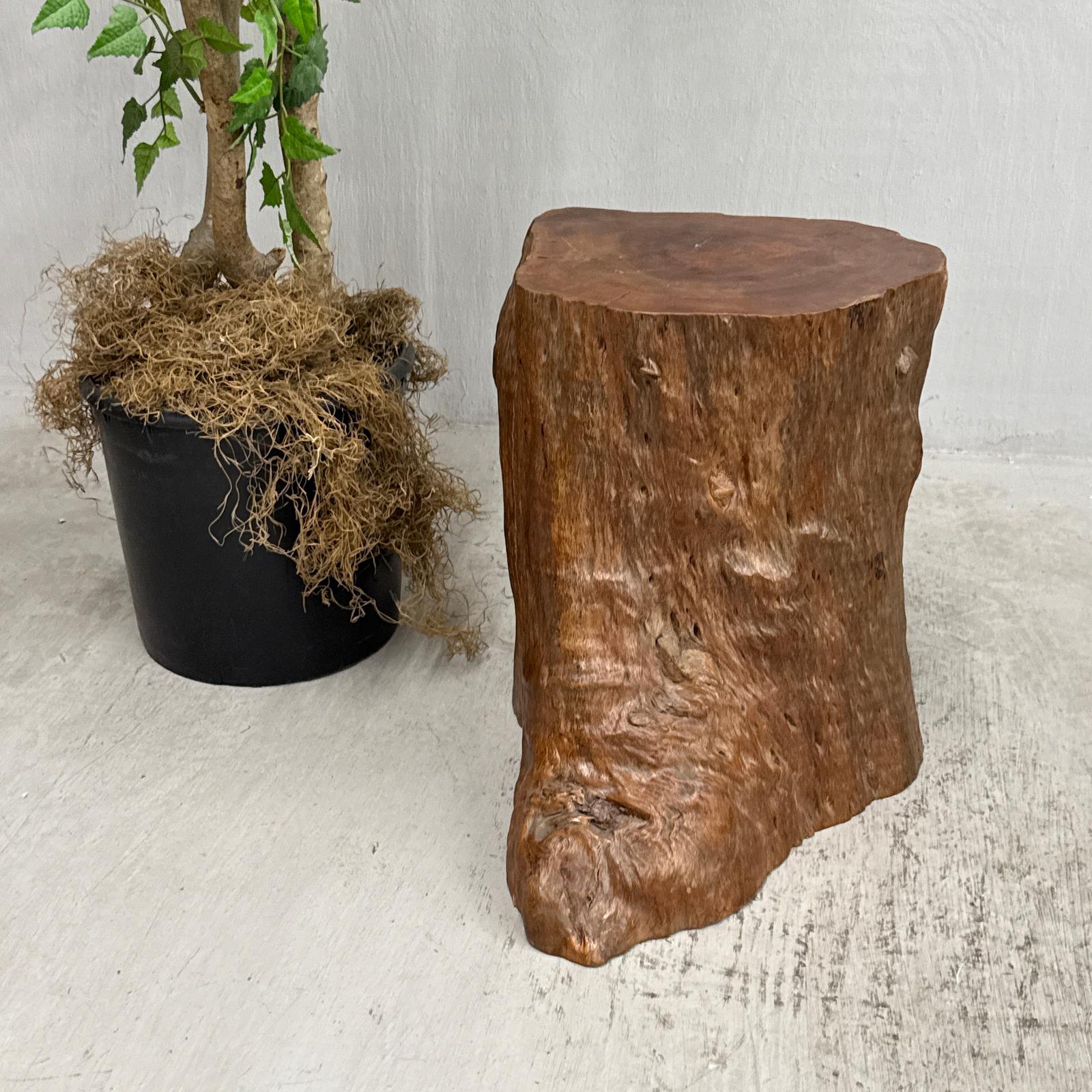 Large Free-Form Brown Rustic Tree Trunk Side Pedestal Table - FEA Home