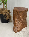 Large Free-Form Brown Rustic Tree Trunk Side Pedestal Table - FEA Home
