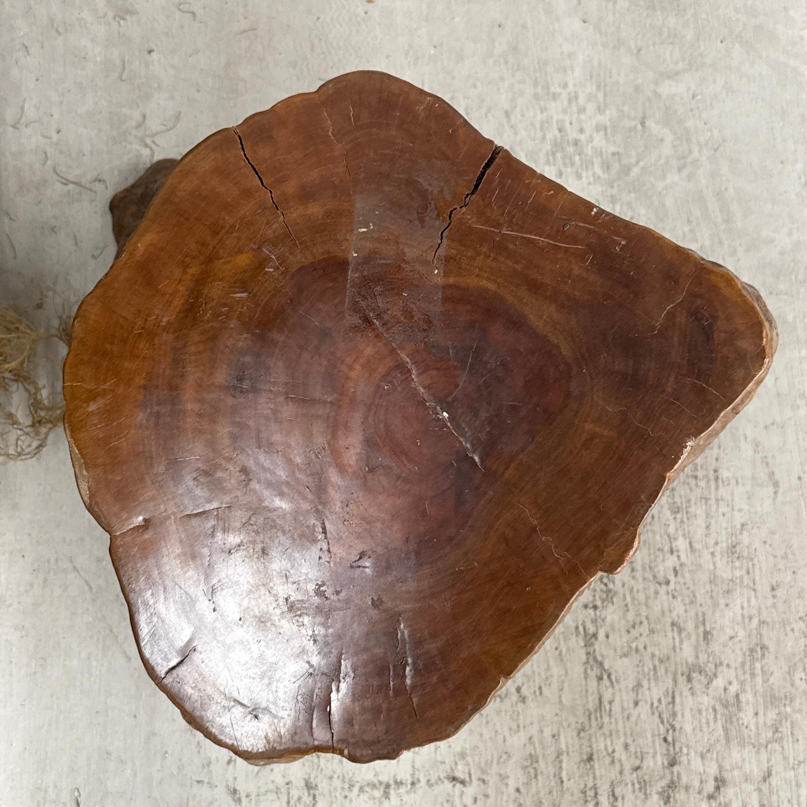Large Free-Form Brown Rustic Tree Trunk Side Pedestal Table - FEA Home