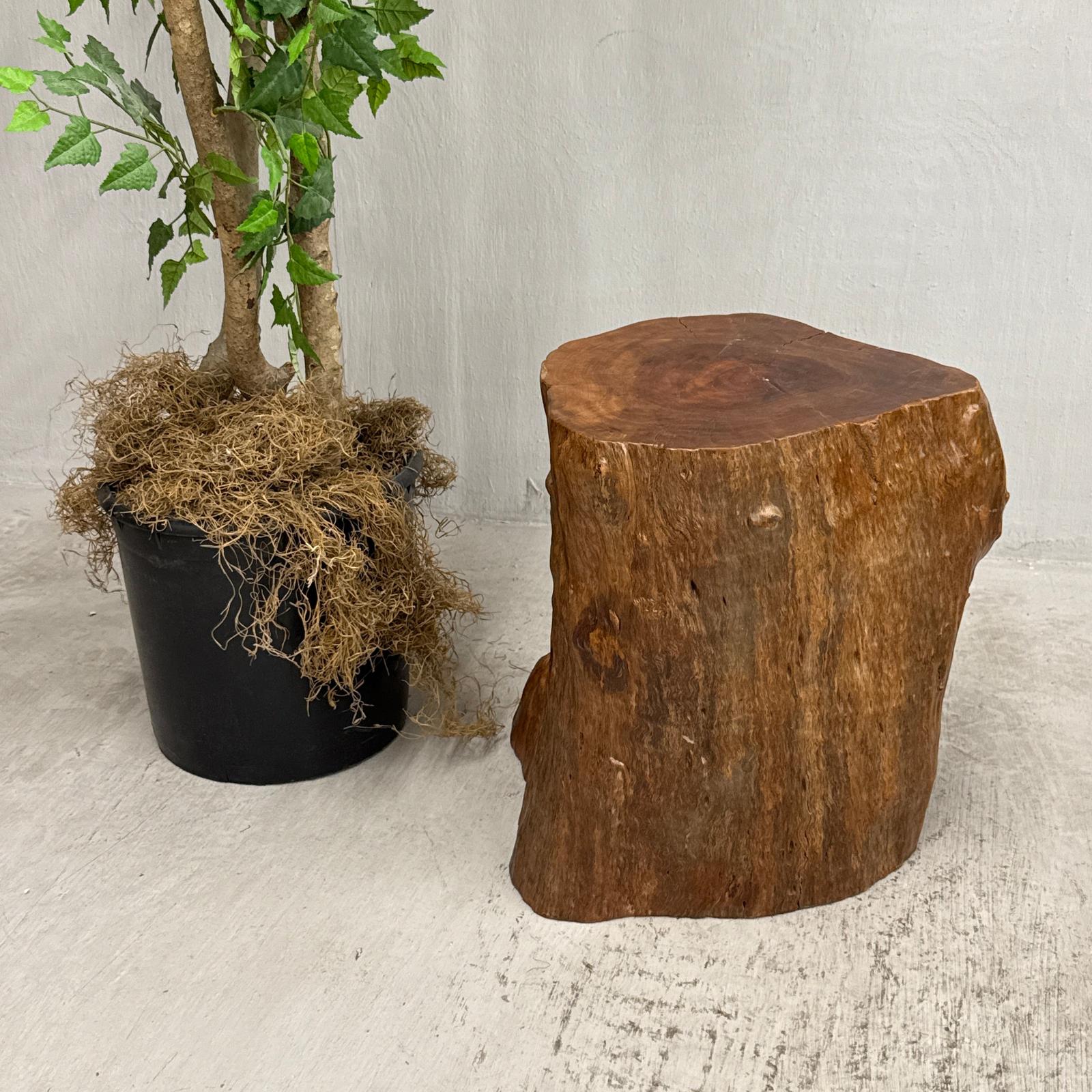 Large Free-Form Brown Rustic Tree Trunk Side Pedestal Table - FEA Home
