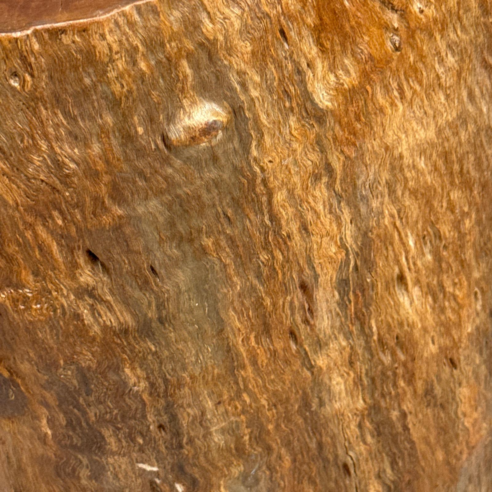 Large Free-Form Brown Rustic Tree Trunk Side Pedestal Table - FEA Home