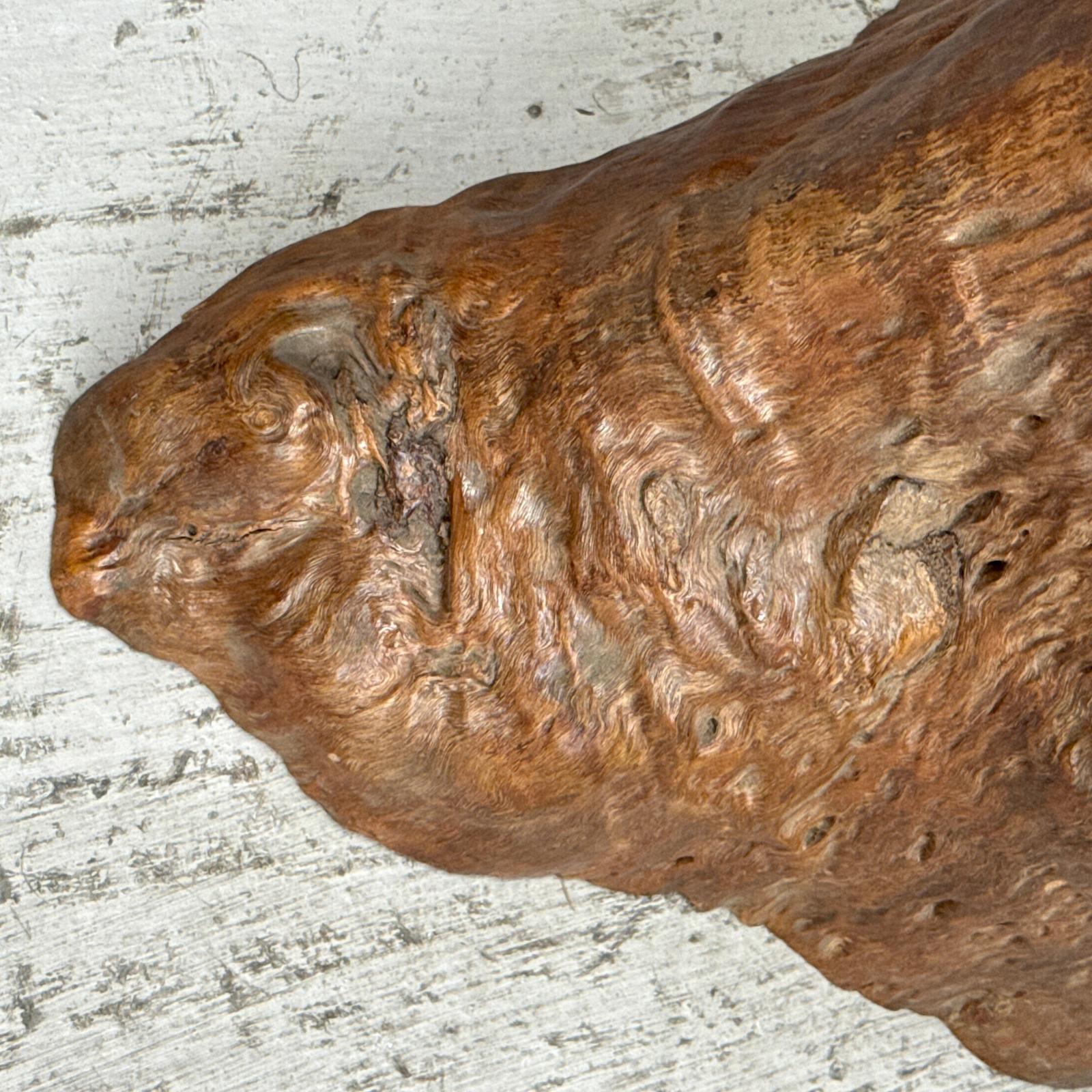 Large Free-Form Brown Rustic Tree Trunk Side Pedestal Table - FEA Home