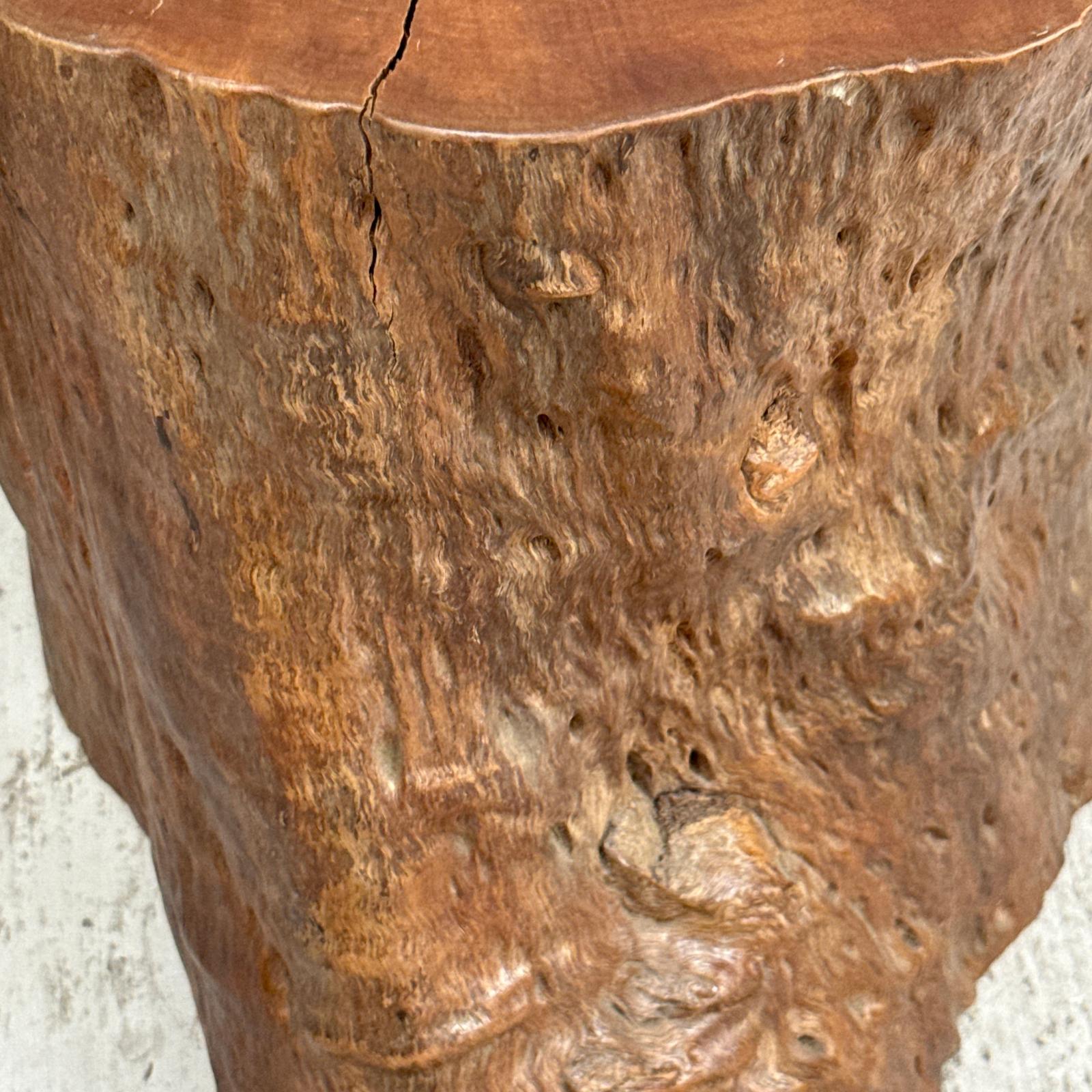 Large Free-Form Brown Rustic Tree Trunk Side Pedestal Table - FEA Home
