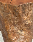 Large Free-Form Brown Rustic Tree Trunk Side Pedestal Table - FEA Home