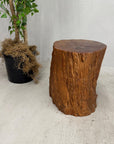 Large Honey Brown Reclaimed Tree Trunk Side Pedestal Table - FEA Home