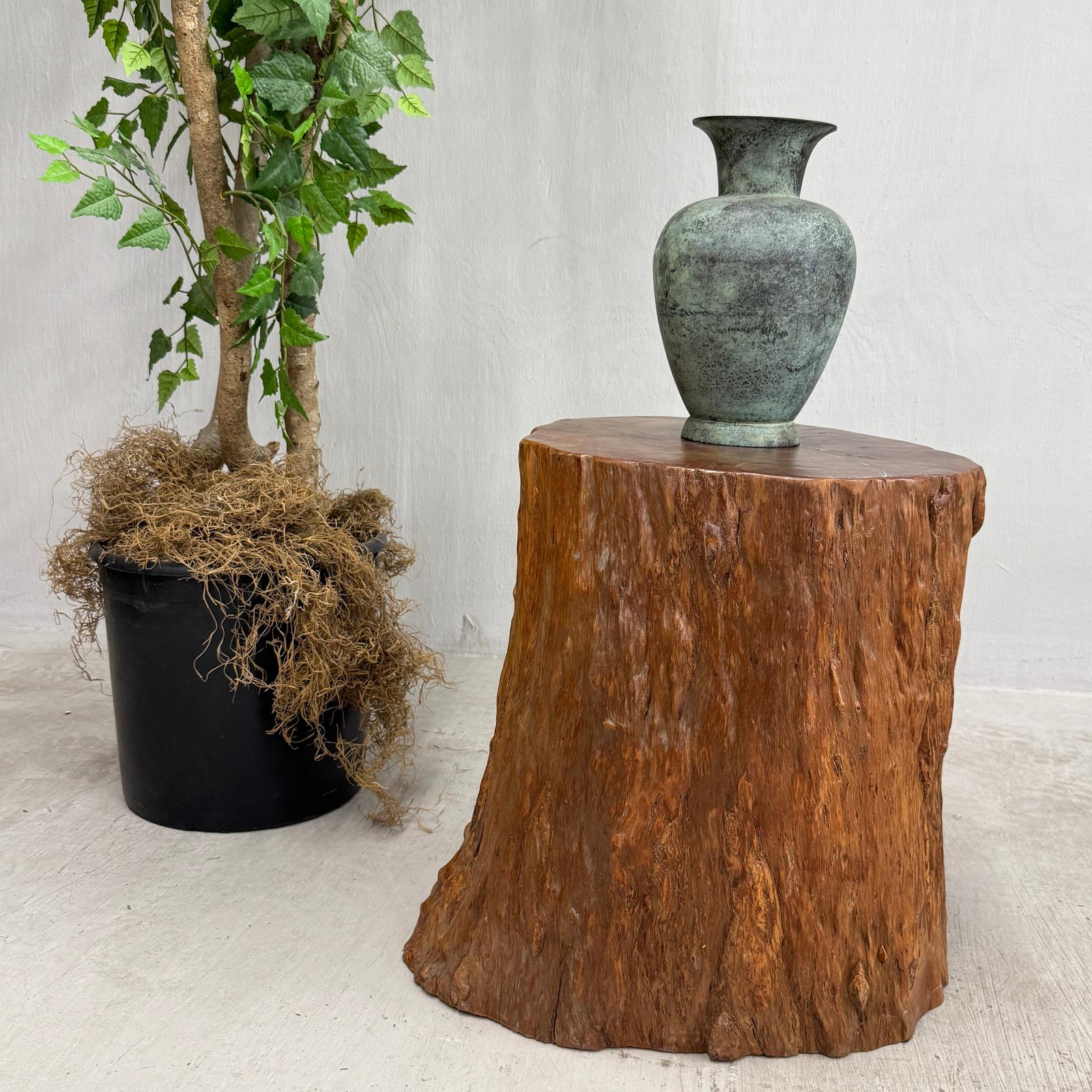 Large Honey Brown Reclaimed Tree Trunk Side Pedestal Table - FEA Home