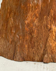Large Honey Brown Reclaimed Tree Trunk Side Pedestal Table - FEA Home