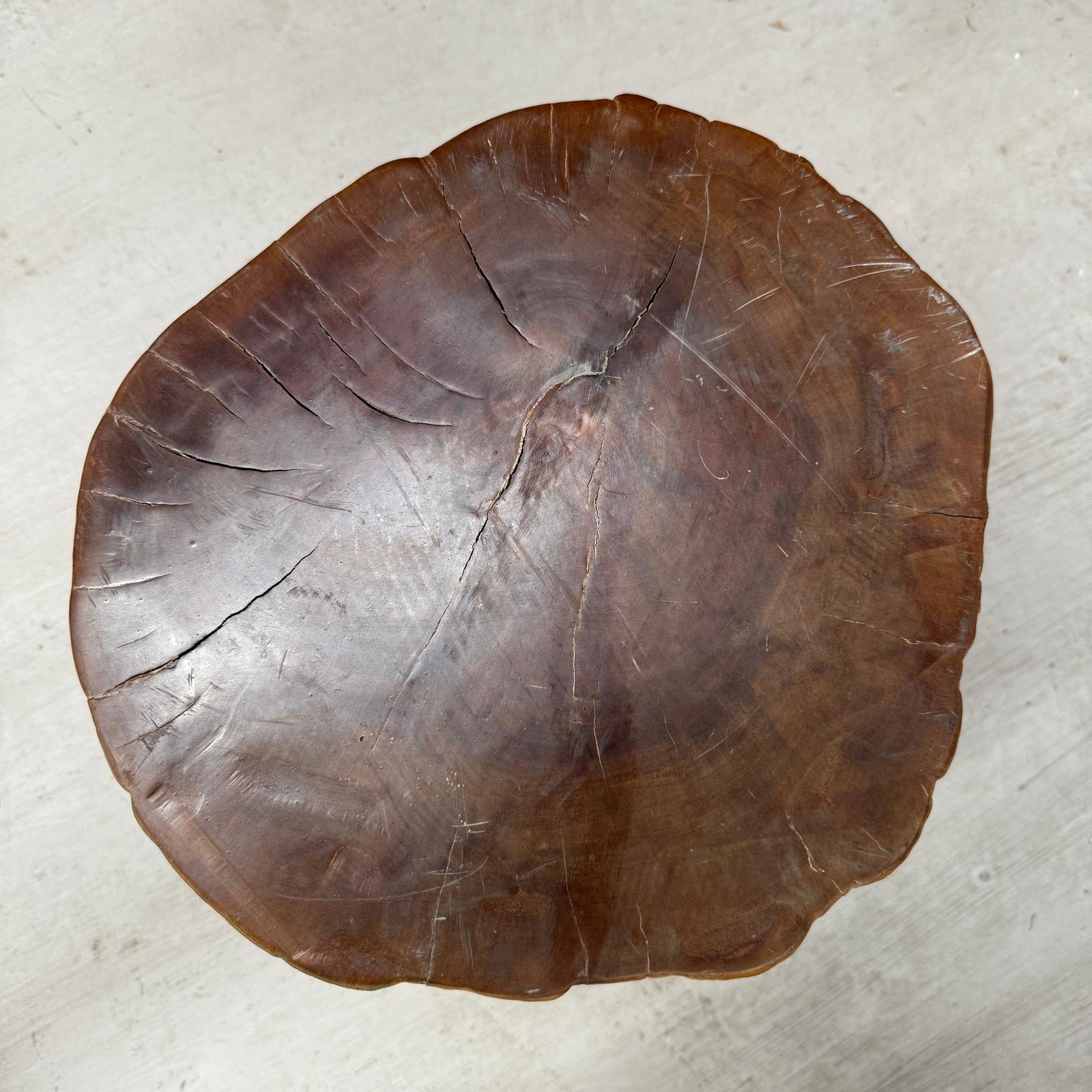 Large Honey Brown Reclaimed Tree Trunk Side Pedestal Table - FEA Home