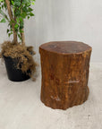Large Honey Brown Reclaimed Tree Trunk Side Pedestal Table - FEA Home