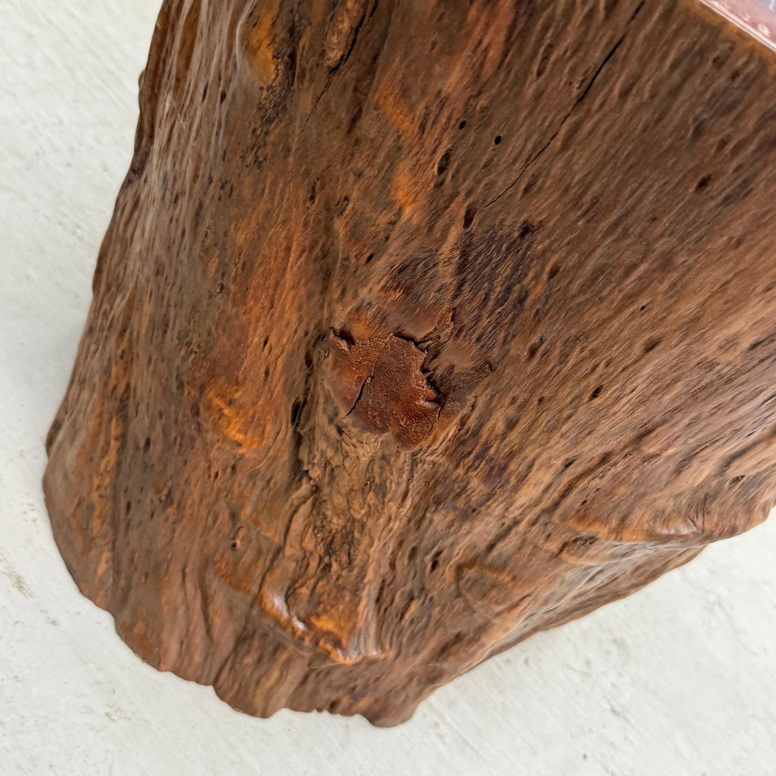 Large Honey Brown Reclaimed Tree Trunk Side Pedestal Table - FEA Home